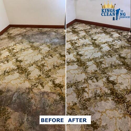 Cool Carpet Cleaning Sydney Services at Kings of Cleaning KASKUS