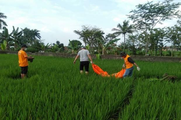 Hilang 4 Hari, Kakek Berusia 84 Tahun Ditemukan Tewas di Sawah