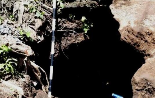 Lubang Mirip Gua Diduga Makam Prasejarah Ditemukan di Bondowoso