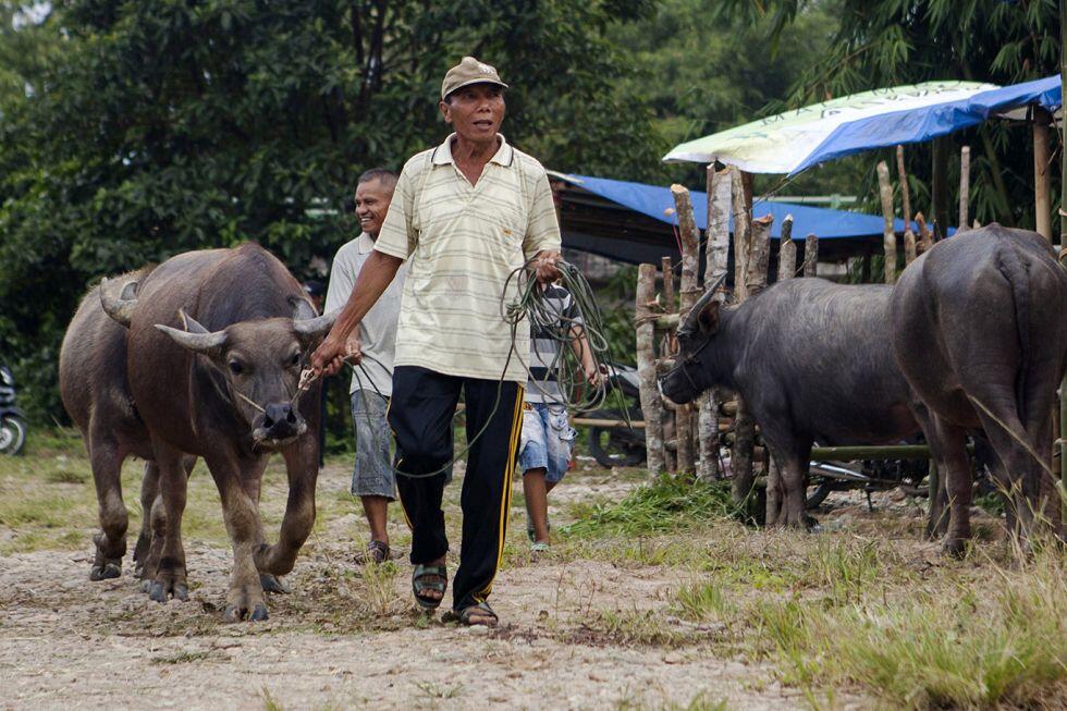 Bantai Adaik, Kearifan Lokal Di Bulan Ramadhan Yang Penuh Makna
