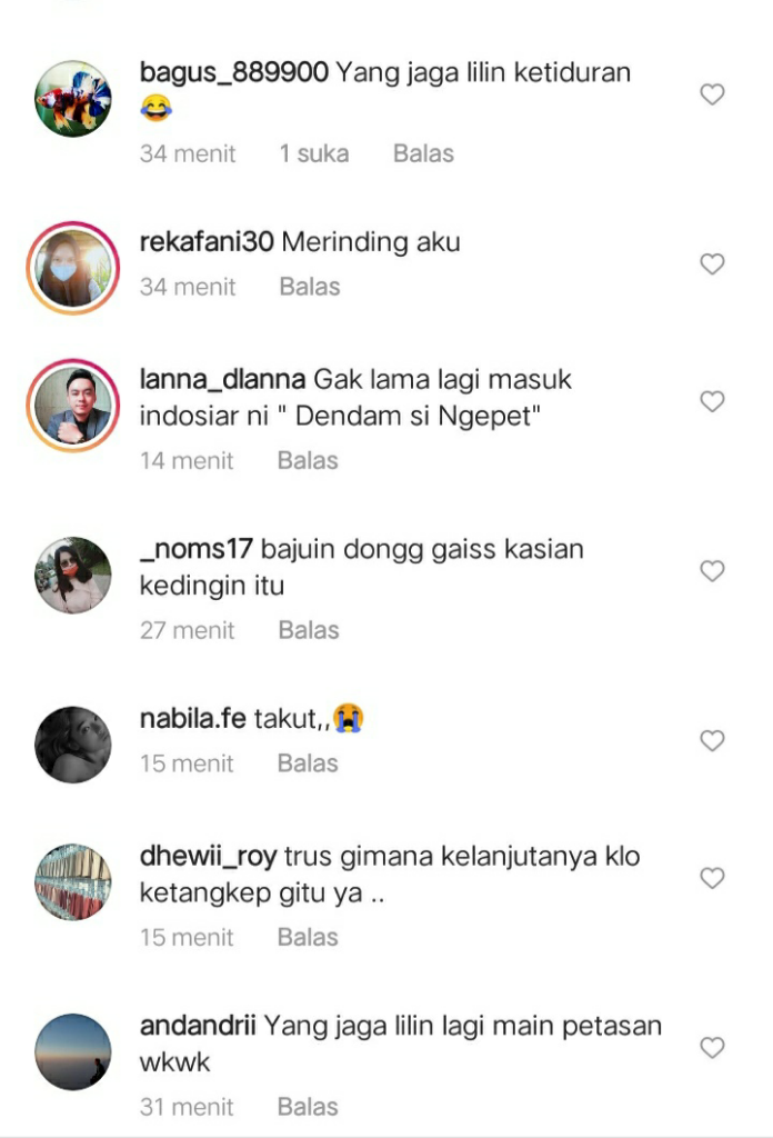 Diduga Babi Ngepet, Warga Menyembelih Babi yang Tertangkap! Apa Kabar Penjaga Lilin?