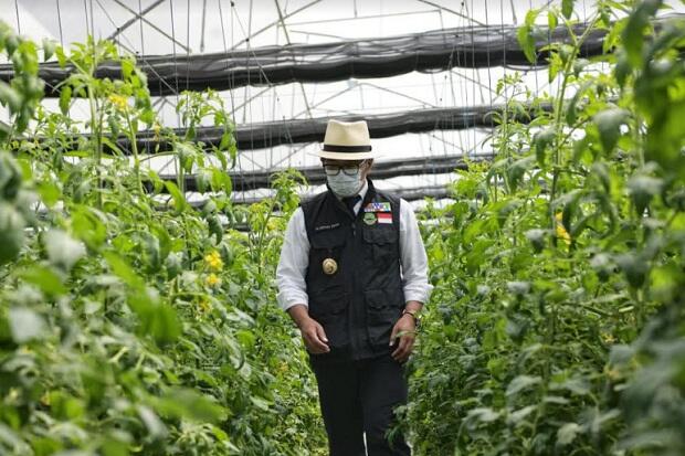 Luncurkan Kawasan Agrowisata Cianjur, Ridwan Kamil Titip Pesan Bangun Spot Selfie