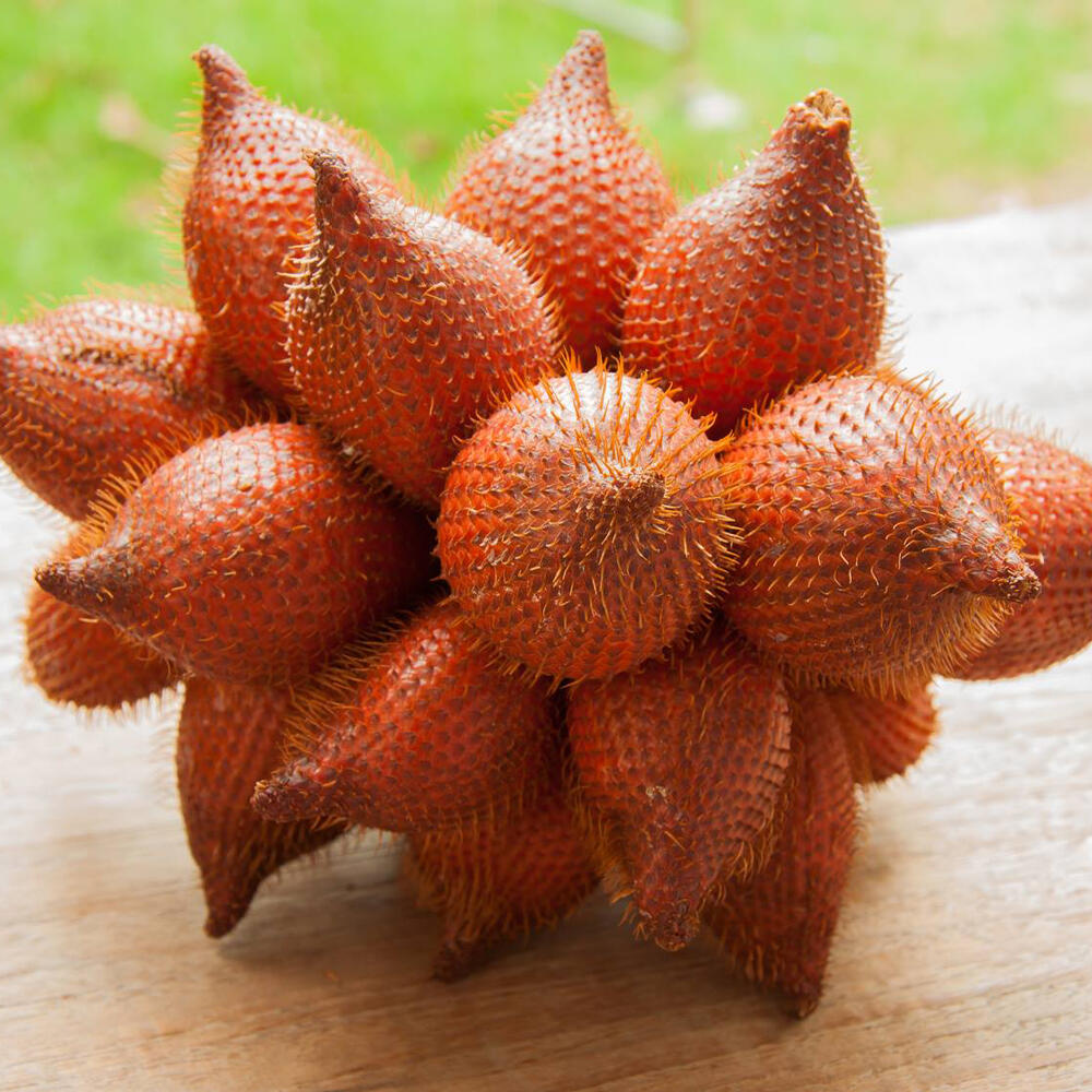 Temukan Aneka Olahan Buah Salak di Kampung Salak, Bangkalan.