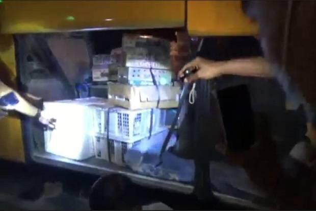 Penyelundupan Ratusan Burung Digagalkan Petugas Gabungan di Bakauheni