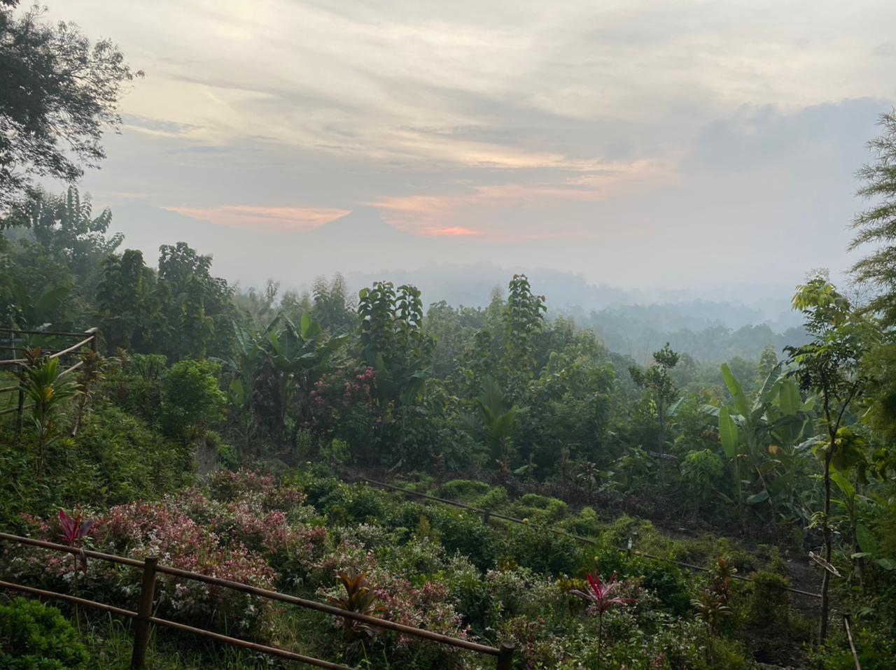 Melihat Bukit Barede, Spot Sunrise di Borobudur Terkini