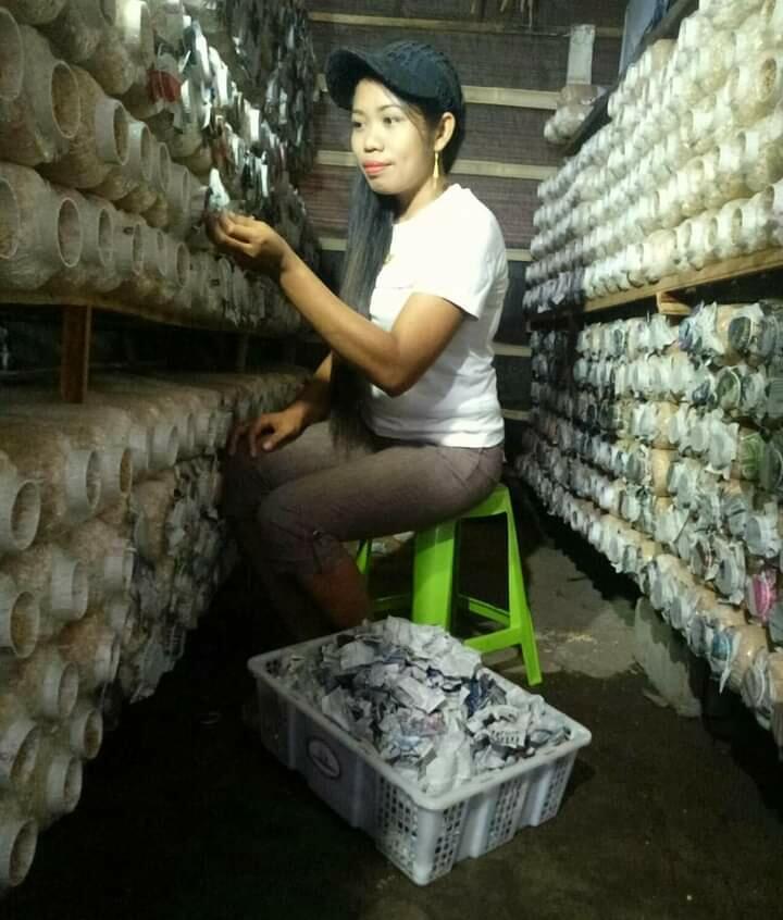 Griya Jamur Unik, Surga-nya Jamur Tiram di Malang