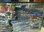 Lengkapi Gayamu Bersama Batik Baduy Store
