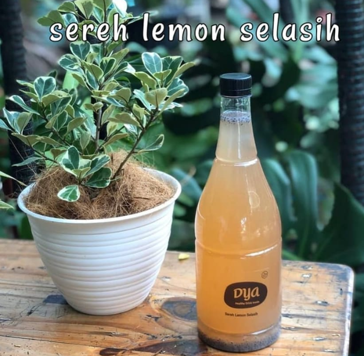 Jus Kedondong Kiamboy Ala Dapurnyadya Temukan Sensasi Kesegaran Disetiap Tegukannya!