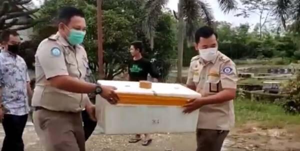 3 Ekor Ikan Aligator Asal Perairan Amazon AS Diamankan Polres Merangin