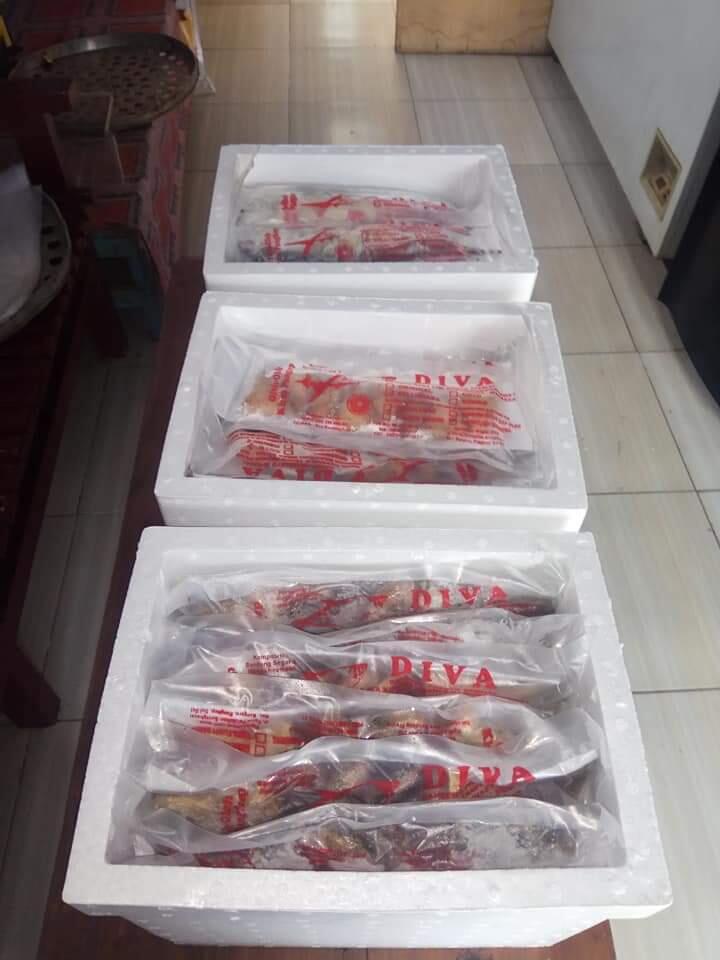 Bandeng Presto Oleh-Oleh Khas Pangkep Hanya di Diva Bandeng Presto