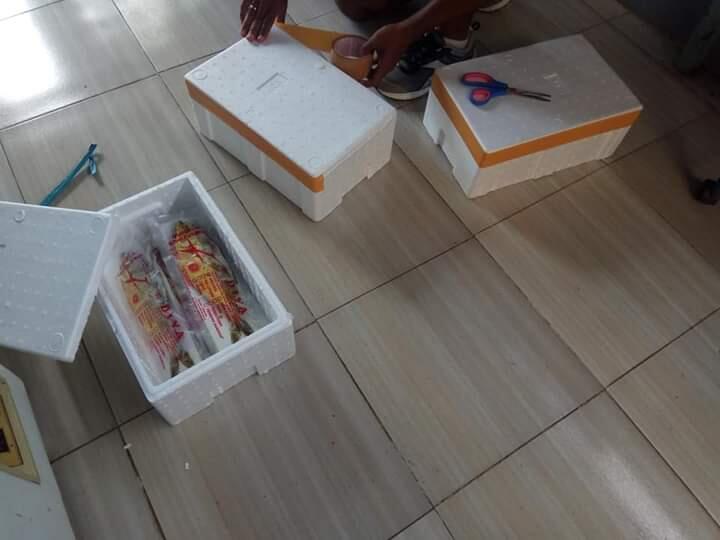 Bandeng Presto Oleh-Oleh Khas Pangkep Hanya di Diva Bandeng Presto