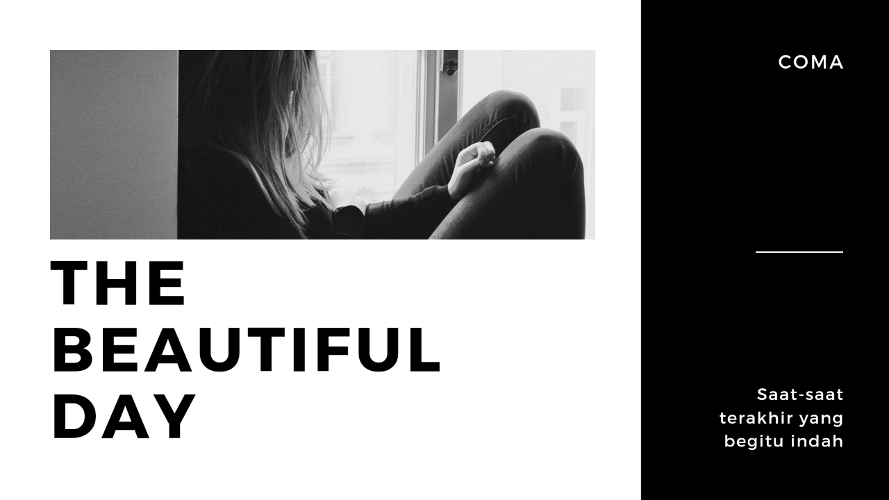 The Beautiful Day : Coma