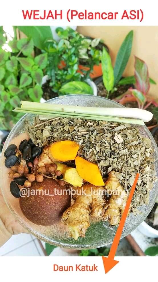 Jamu Tumbuk Lumpang Jamu Asli Semarang 