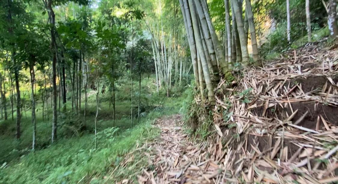 Menengok Curuh Kembar yang Tersembunyi di Sukosari