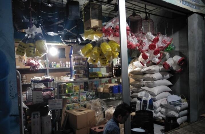 Hobi Pelihara Burung? Jangan Lupa Beli Sangkar dan Pakannya di Sini Ya