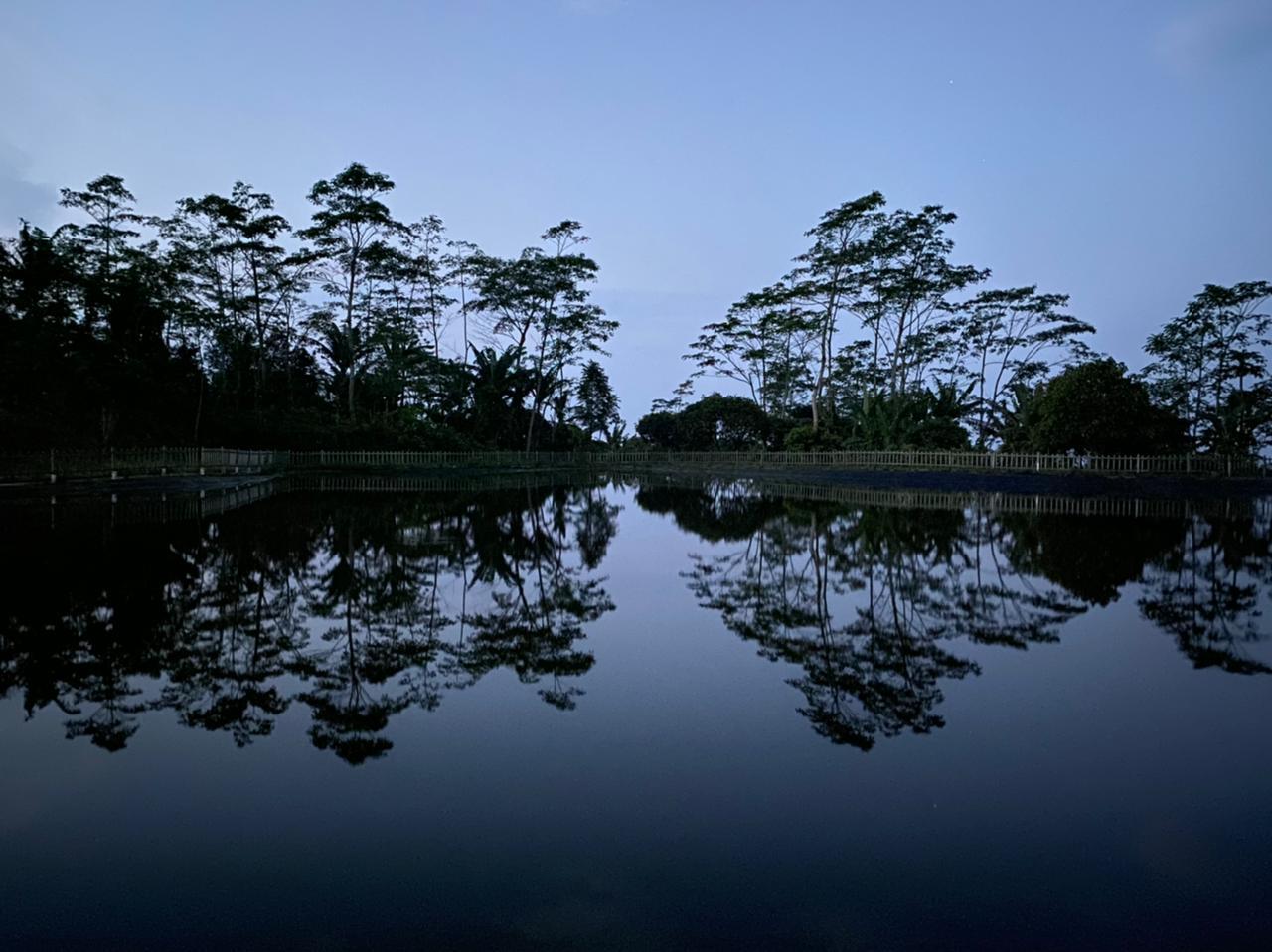 Mengejar Sunrise di Embung Tlogo Pucang/Embung Tuk Buntu