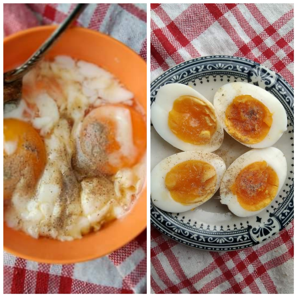 UMKM Telur Ayam Kampung, No Suntikan Dan Obat-Obatan!