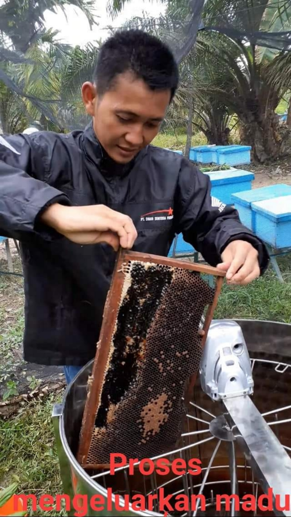 UMKM Madu Hutan, Ikhtiar Kesehatan Dengan Herbal Dan Sunnah!