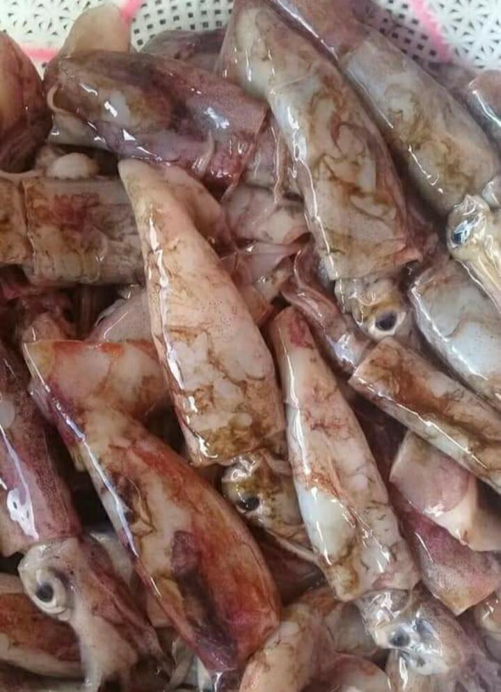 Lapak Widia, UMKM Newbe Desa Laju NTB, Ada Berbagai Menu Lezat di Sini