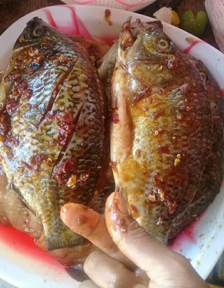 Lapak Widia, UMKM Newbe Desa Laju NTB, Ada Berbagai Menu Lezat di Sini