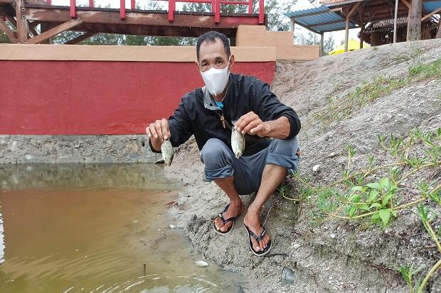 Ribuan Ikan di Kawasan Wisata Cemara Mendadak Mati
