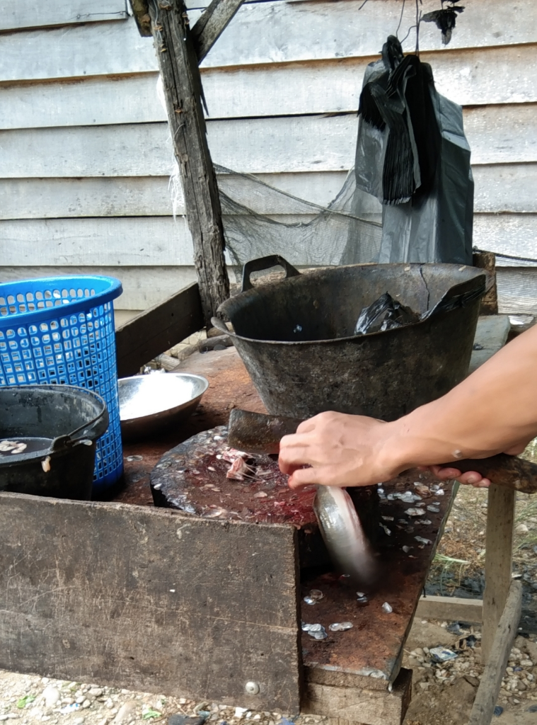 UMKM Ternak Budidaya Ikan Lele Dan Ikan Mas, Untungnya Lumayan Berkah!