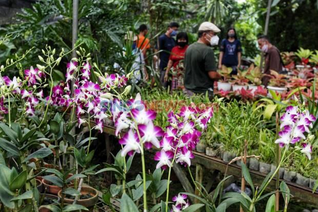 Tak Mau Kalah dari Belanda, Airlangga Dorong Ekspor Tanaman Hias
