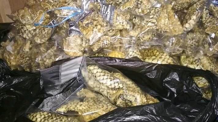 Kerupuk Kulit Ikan Kakap Semarang Punya