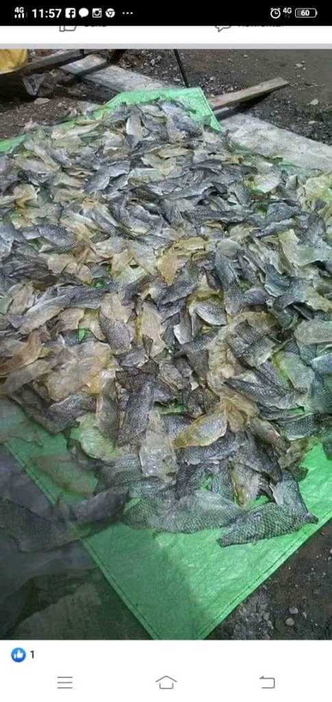Kerupuk Kulit Ikan Kakap Semarang Punya