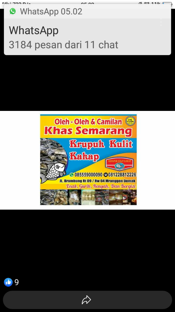 Kerupuk Kulit Ikan Kakap Semarang Punya
