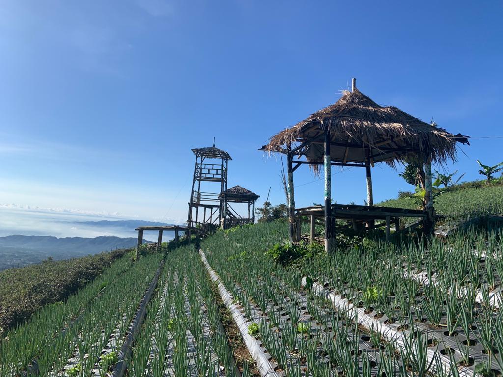  Indahnya Pemandangan di Mangli Sky View, Kaliangkrik, Magelang