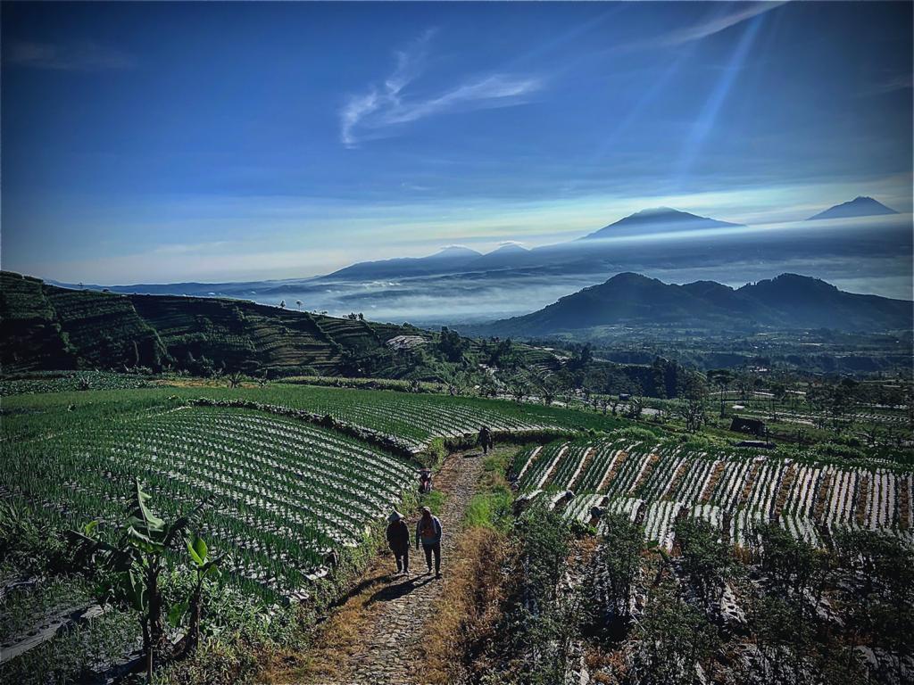  Indahnya Pemandangan di Mangli Sky View, Kaliangkrik, Magelang