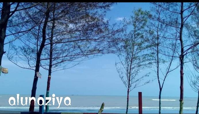 Pesona Pantai Nyamplung Sari, Kampung Halaman yang Bikin Hati Selalu Rindu Pulang