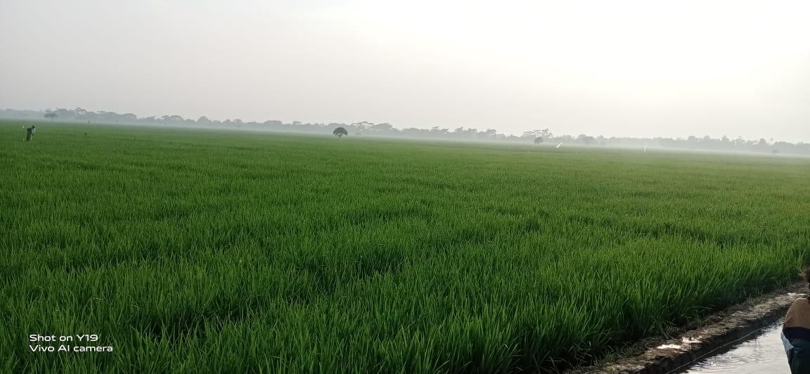 Kenangan Yang Terkesan Trendy Saat Disambut Papan Lengser