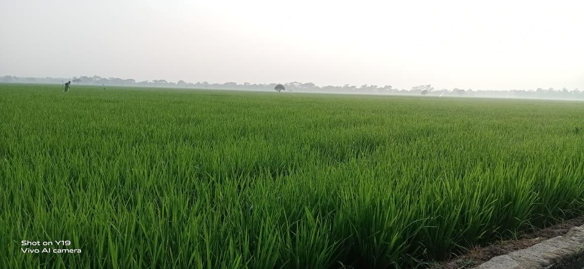 Kenangan Yang Terkesan Trendy Saat Disambut Papan Lengser