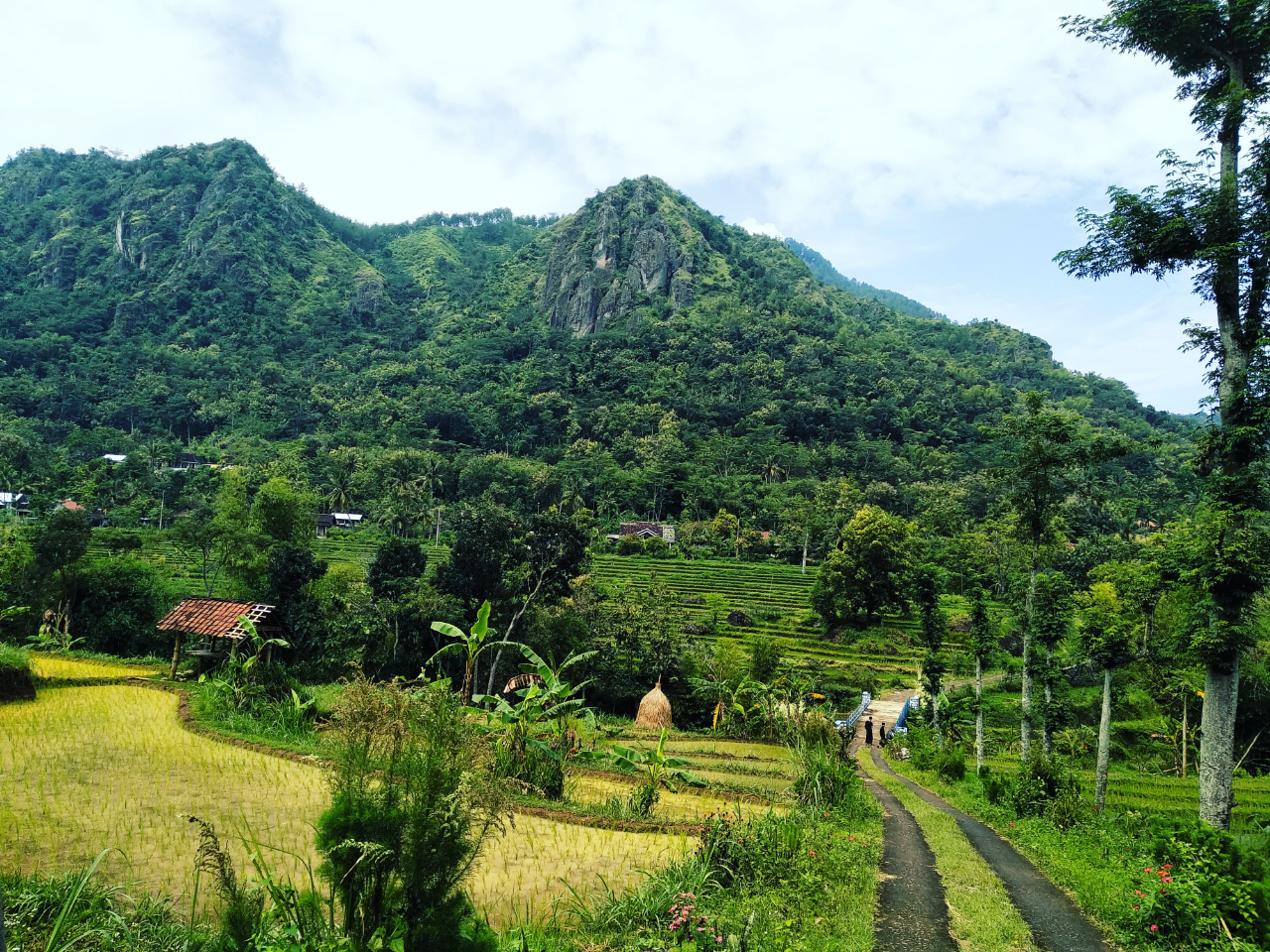 Rinduku Pada Wonogiri, Tanah Kelahiranku..