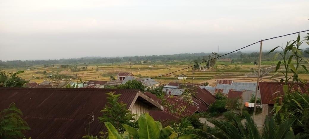 Kerinduan Kering Kampung Halaman Tercinta