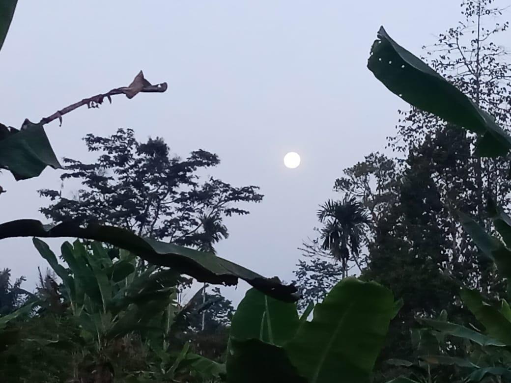 Kerinduan Kering Kampung Halaman Tercinta