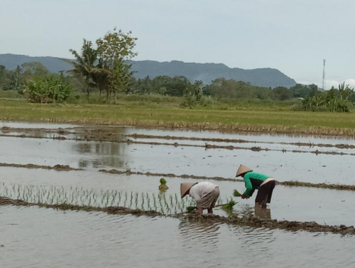 Tempat yang Menjadi Kenangan Terindah di Kampung Halaman Saat Lebaran!