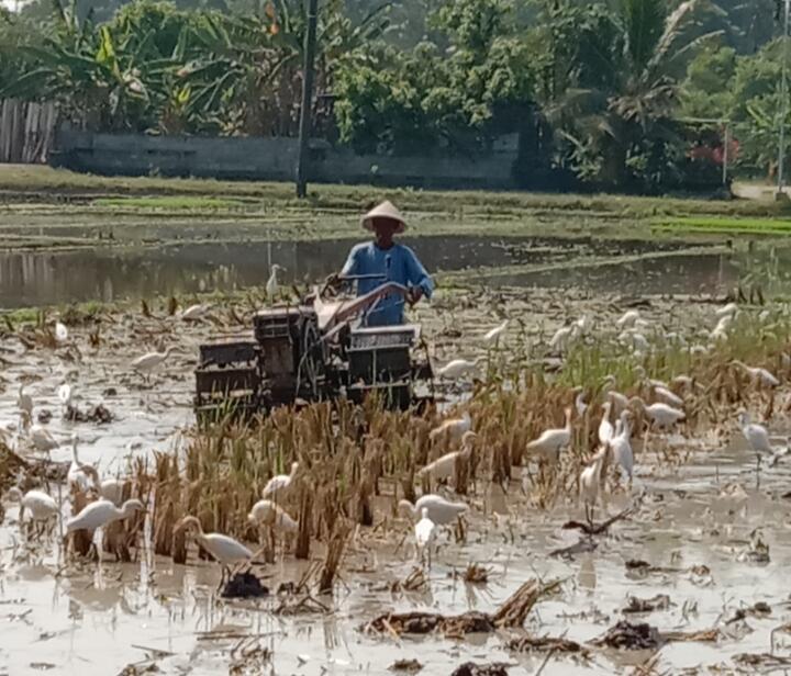 Tempat yang Menjadi Kenangan Terindah di Kampung Halaman Saat Lebaran!
