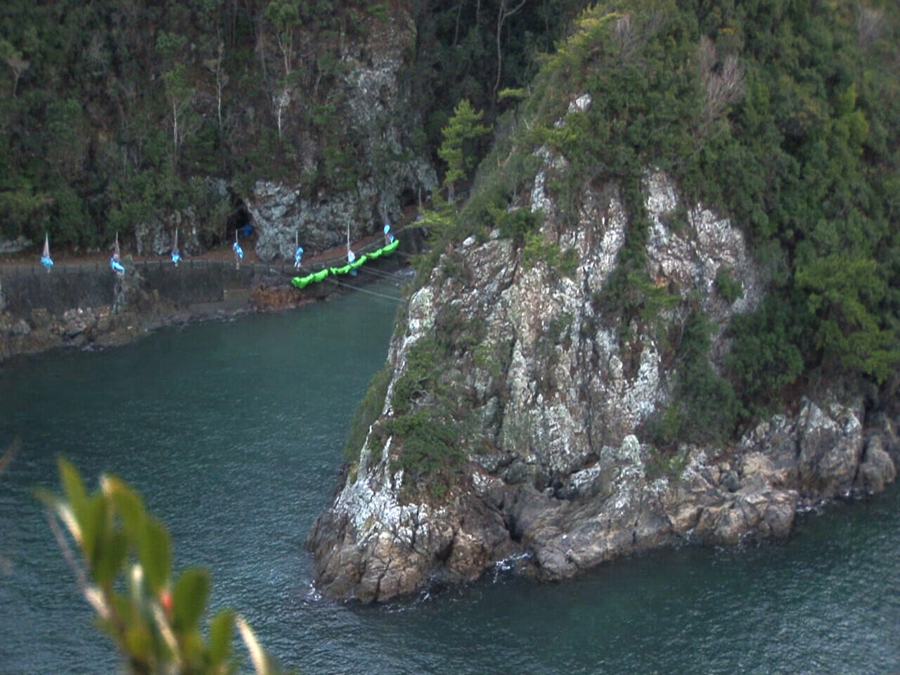 The Cove, Cintai Lumba-Lumba Cintai Alam Semesta
