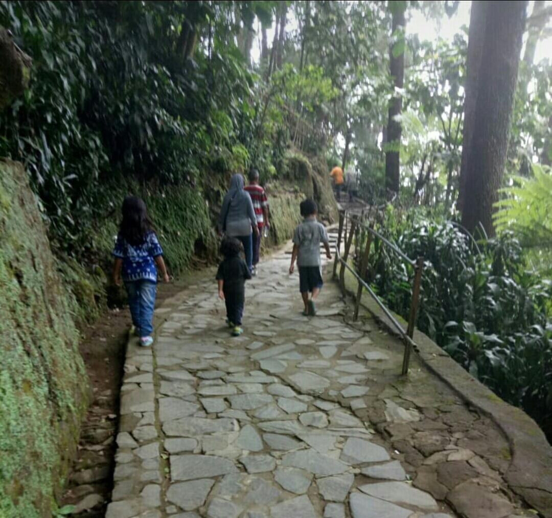 Air Terjun Seribu Tangga Nan Eksotis, Grojogan Sewu Tawangmangu