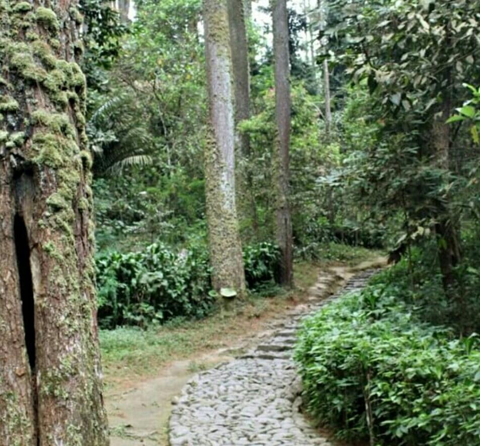 Grojogan Sewu,Air Terjun Indah Yang Harus Anda Kunjungi!