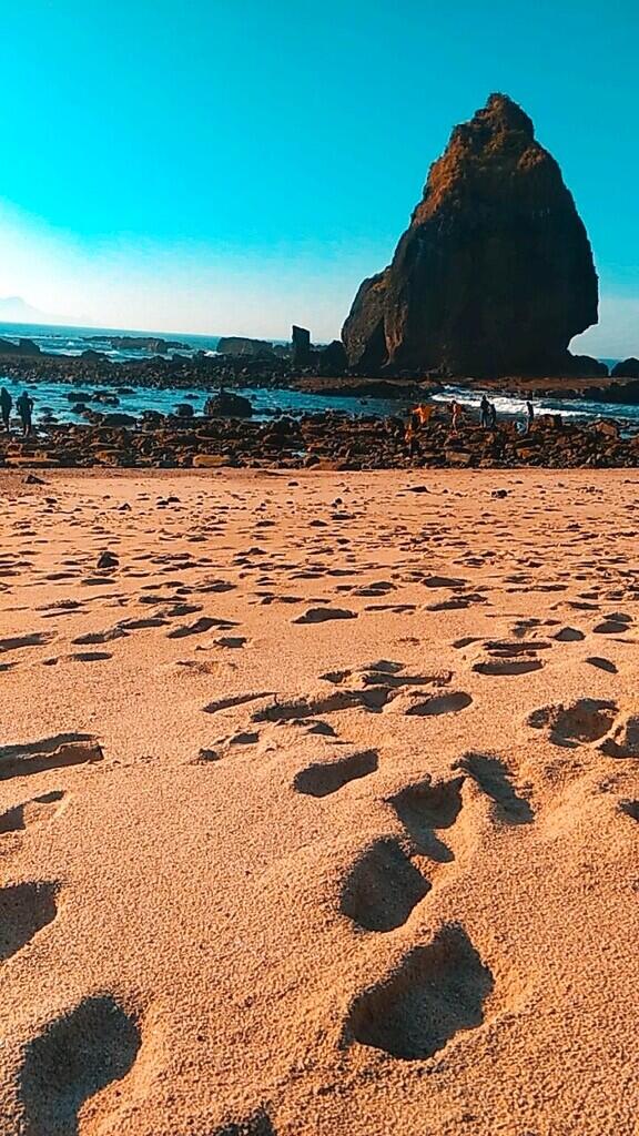 Pantai Papuma, Destinasi Wisata Liburan Keluarga Setiap Tahun