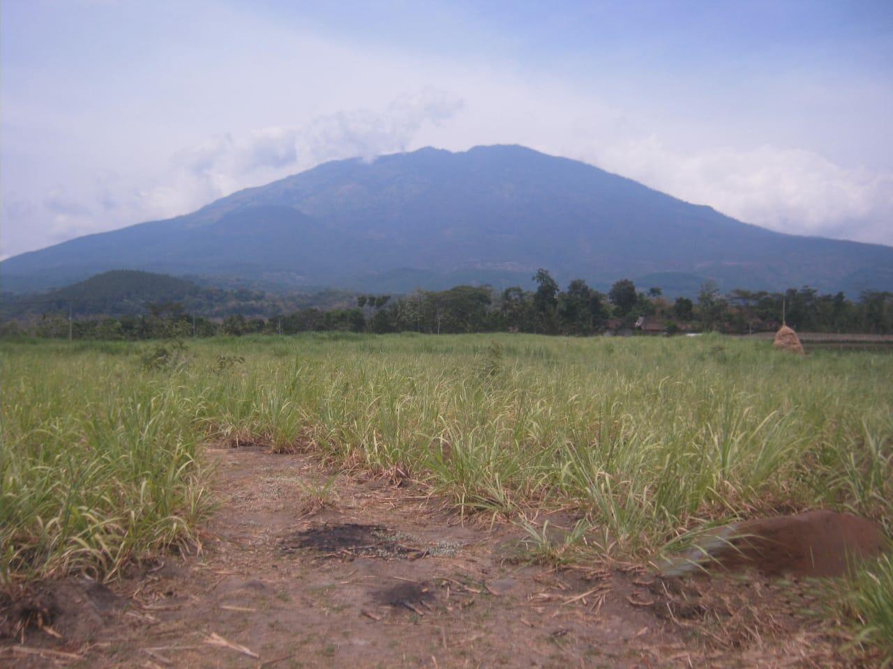 Telaga Sarangan Dan Kaki Gunung Lawu, Sukses Bikin Adem Plus Bikin Hati Ane Merindu