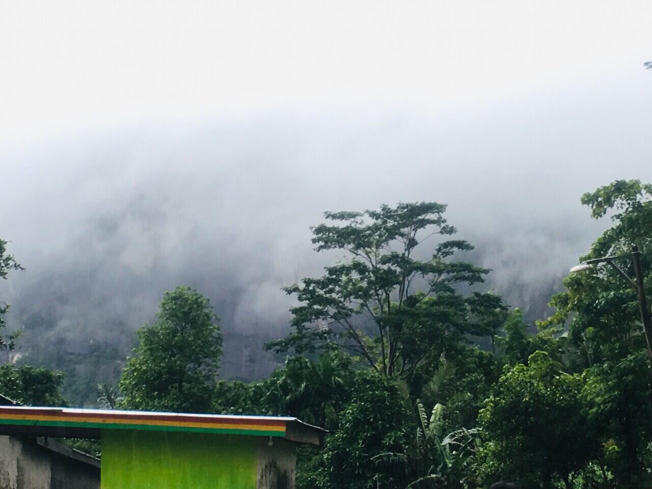 Sawah, Laut dan Air Terjun, Pemandangan yang dirindukan saat Pulang Kampung!