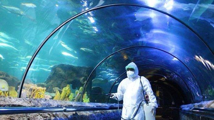 Ancol Trending Topic, Kerumunan Wisatawan Saat Libur Lebaran Jadi Sorotan