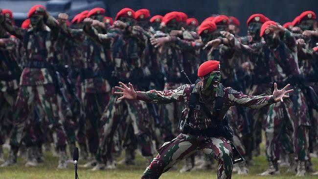 Biar Gak Ngomong Doang, PKS Minta Pemerintah Terjunkan TNI ke Wilayah Palestina