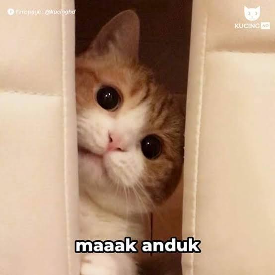 Bayi Laki-laki Ditemukan di Pinggir Kali Jelawai Jaksel dalam Kondisi Hidup