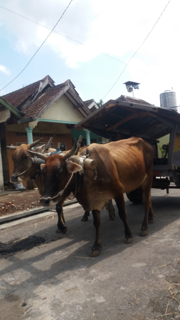Rindu Lebaran Dan Sepoi Angin Desaku